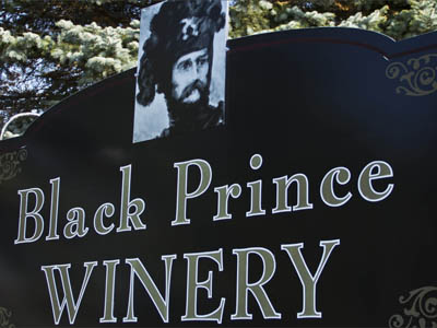 Dibond_SarahToupin_Winerysideview_Web