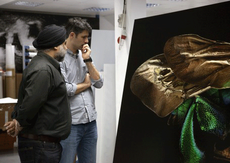 Microsculpture, printed, on, Dibond, Photography, Levon, Biss