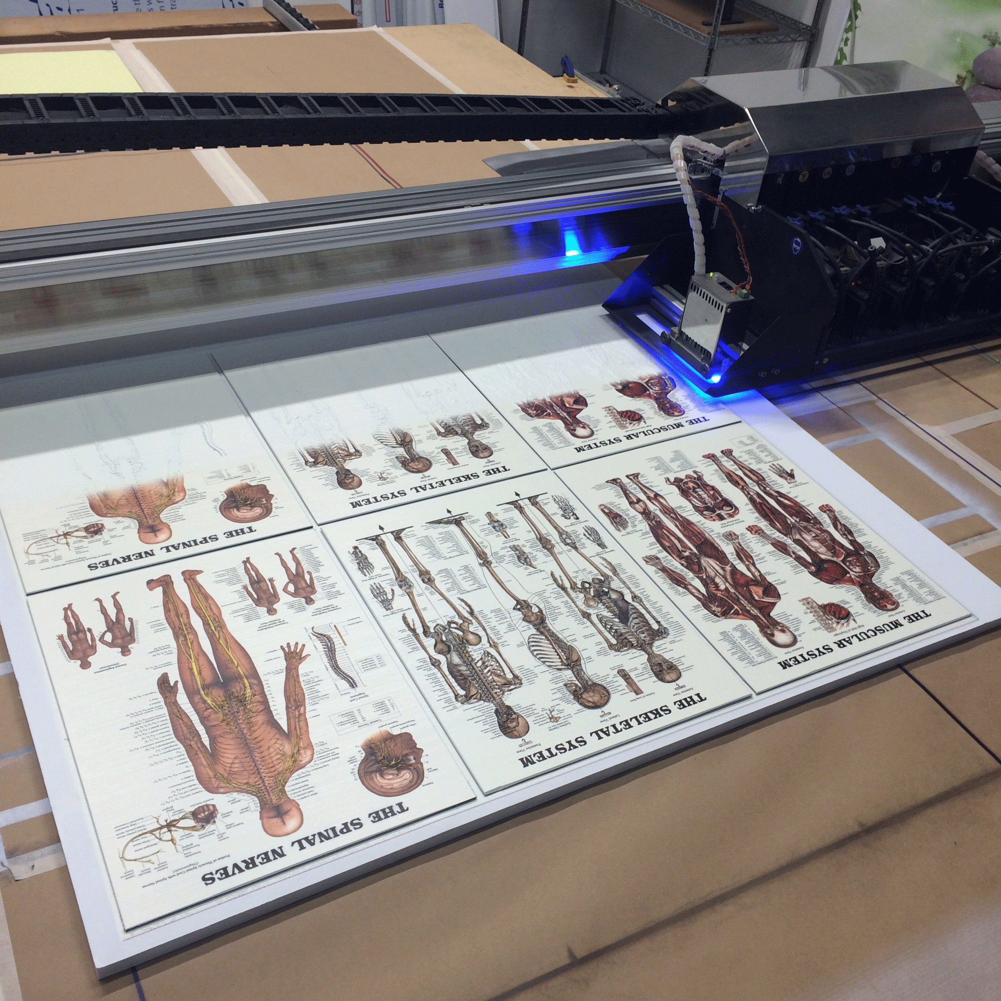 Anatomy, Signage, Imaging, Revolution, Los, Angeles, Dibond, Aluminum, Composite, Material, Photography, Imaging, Revolution