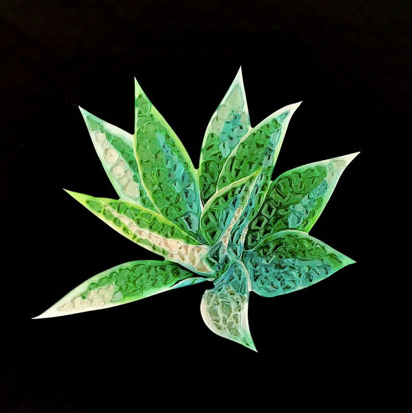 Emily Randolph Fine Arts, Mixed Media, Dibond, ICE Series, Graphic Display USA, Artisan Colour Printing, Emerald Agave 12