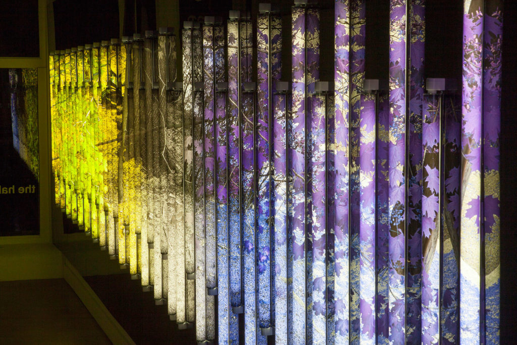 Clint Baclawski, Boston Artist, Light Bulbs, Plexiglas Mounted Dibond, LED Art, Chromogenic 2014