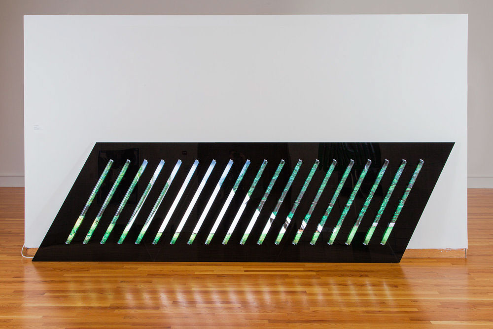 Clint Baclawski, Boston Artist, Light Bulbs, Plexiglas, Mounted, Dibond, LED Art, Dwelling 2018