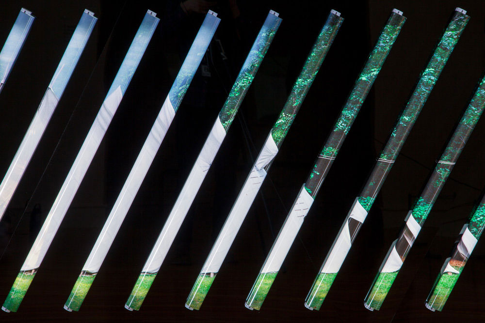 Clint Baclawski, Boston Artist, Light Bulbs, Plexiglas, Mounted, Dibond, LED Art, Dwelling 2018