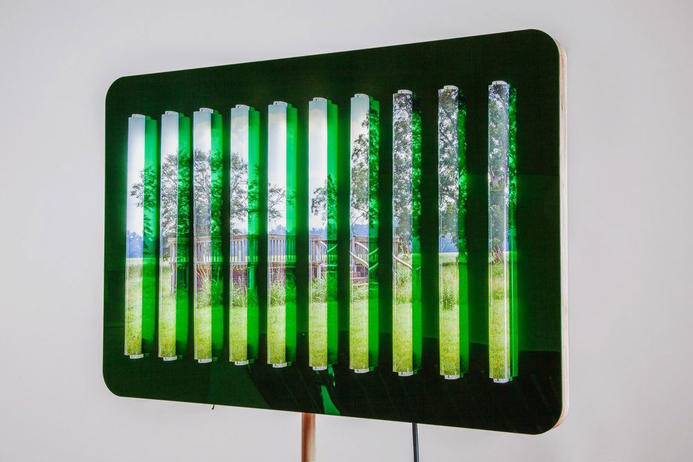 Clint Baclawski, Boston Artist, Light Bulbs, Plexiglas, Mounted, Dibond, LED Art, Dwelling 2018