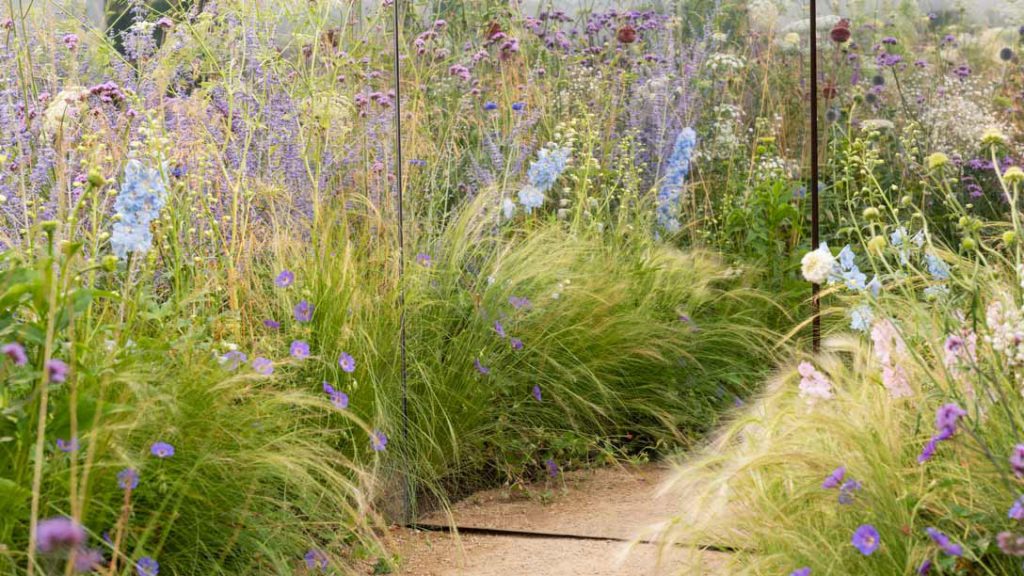 Apeiron The Dibond Garden, Alex Rainford-Roberts, Royal Horticultural Society, RHS