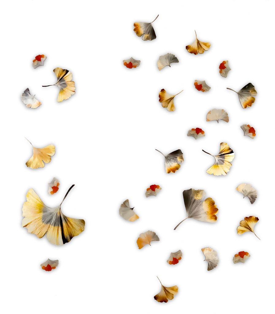 Emily Randolph Fine Art, Cascade, Dibond Substrate, Artisan Colour, Bennett Sculpture Carmel, CA